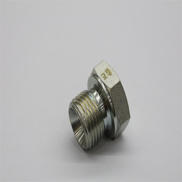 Top trends in BSP to hose fittings for wholesale buyers