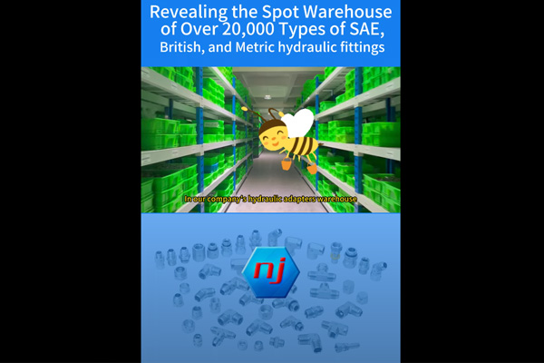 Revealing the Spot Warehouse of Over 20,000 Types of SAE, British, and Metric hydraulic fittings