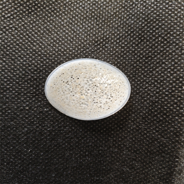 Are BIOCHIP Products the Right Choice for Your Business?