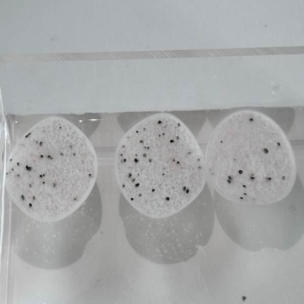 Common Usage Issues with HDPE MBBR Bio Media and How to Overcome Them