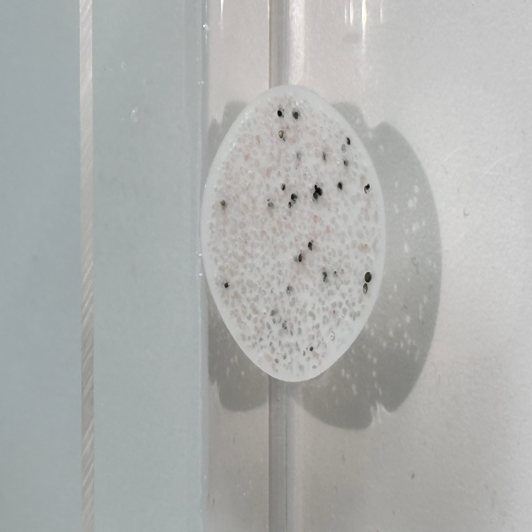 How MBBR Media Contributes to Sustainable Wastewater Management Solutions