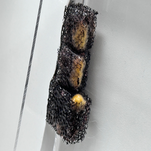 What Makes MBBR Media a Preferred Choice for Wholesale Buyers?