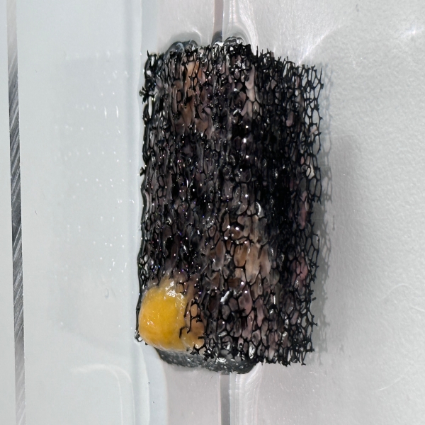 How to Choose the Right MBBR System for Your Wastewater Treatment Needs?