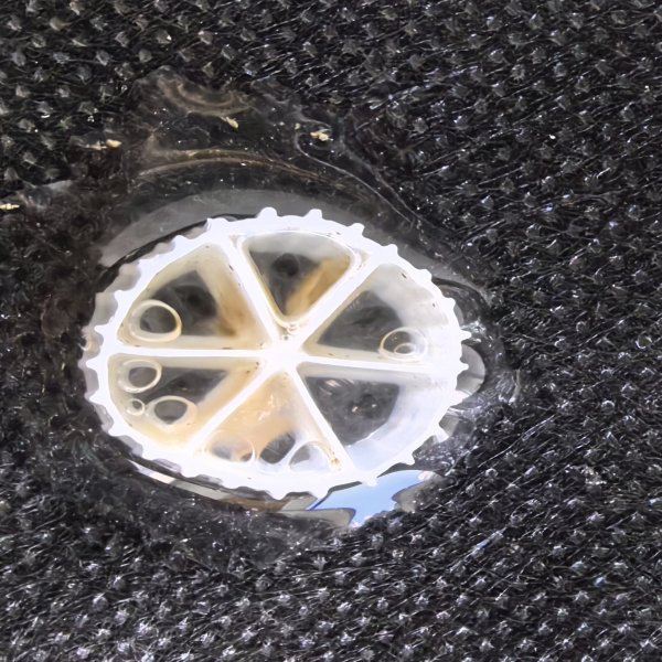 Common Usage Issues with AnoxKaldnes MBBR and How to Overcome Them