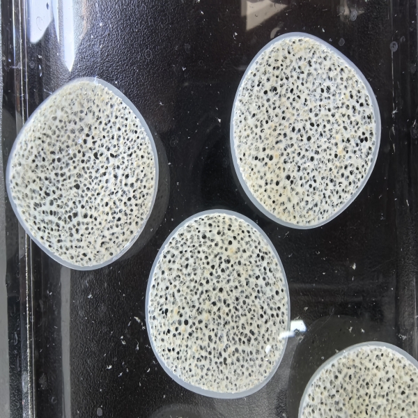 What Makes Bio Media Essential for Effective Filtration?