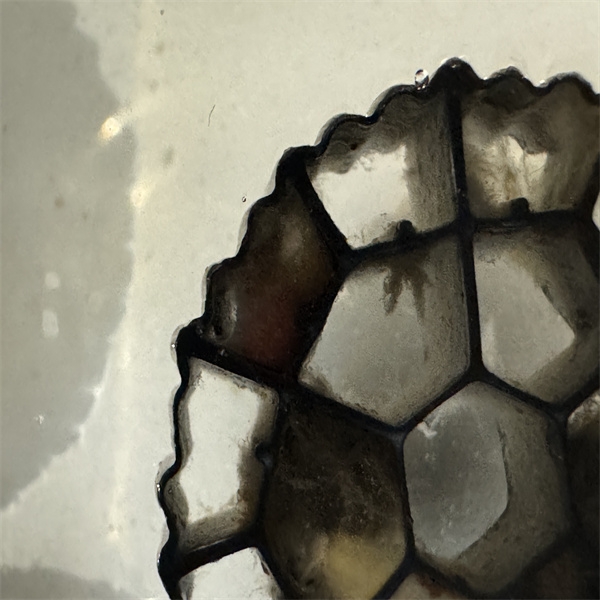 Common Issues in Biofiltration Media Usage and How to Solve Them