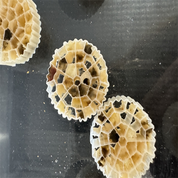 Why Wholesale Biological Filtration Media Offers the Best Value for Bulk Buyers