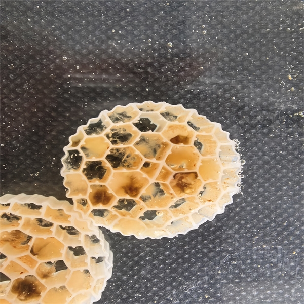 What to Look For in Biological Media to Meet Industry Standards?