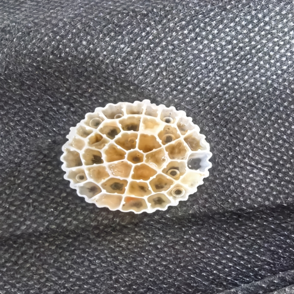 Where to Find Reliable Wholesale MBBR Media Suppliers