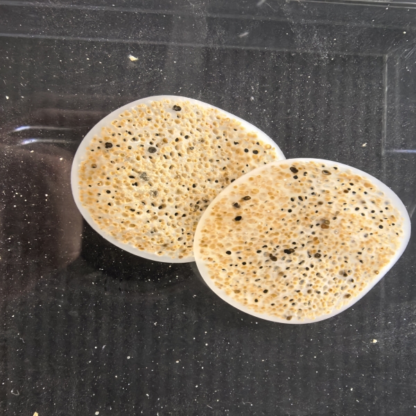 What Makes MBBR Bio Media the Preferred Choice for Aquaculture?