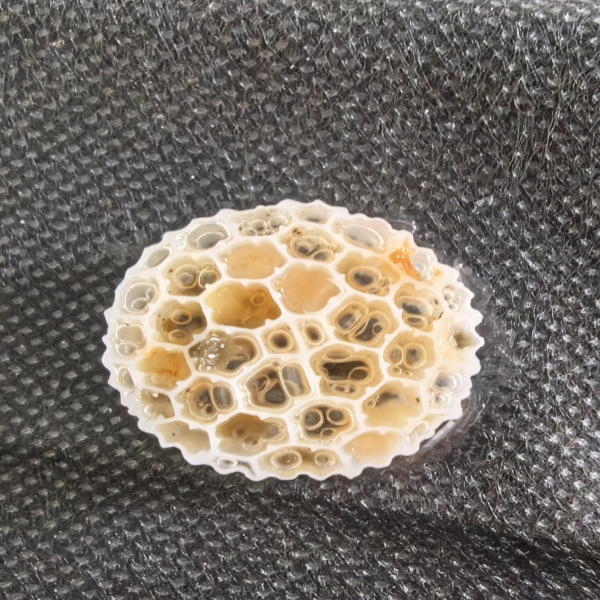 How MBBR Bio Media Can Reduce Operational Costs in Treatment Facilities