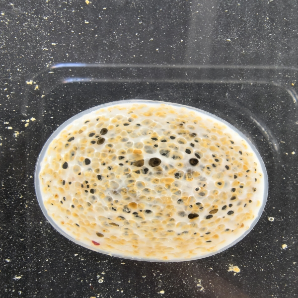 What Are the Latest Trends in MBBR Media Technology?