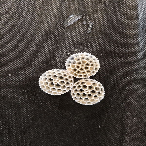 Wholesale MBBRバイオフィルムもり: