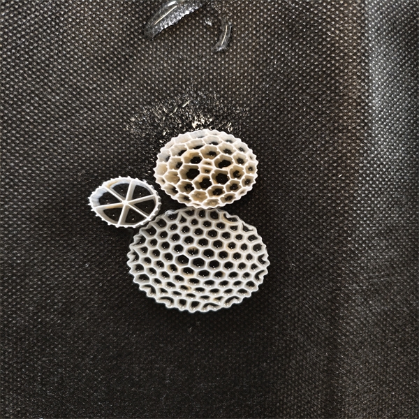 How to Choose the Right MBBR for Your Needs: