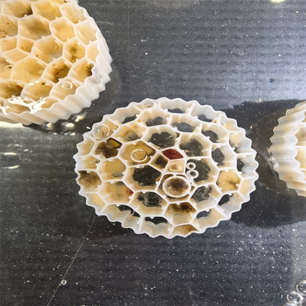 How to Choose the Right MBBR STP System for Your Specific Needs