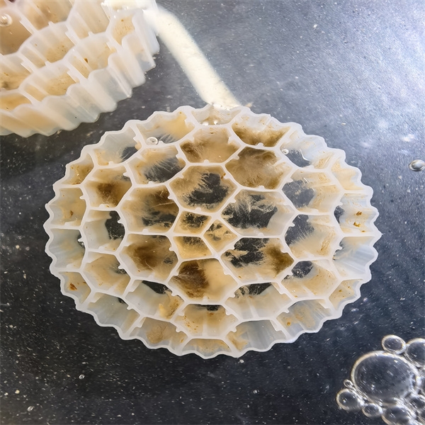 What Common Usage Issues Should You Know About MBBR STP Systems?