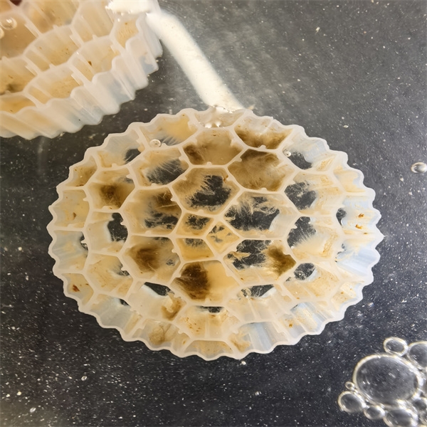 Where to Source Cost-Effective MBBR STP Solutions for Wholesale Buyers