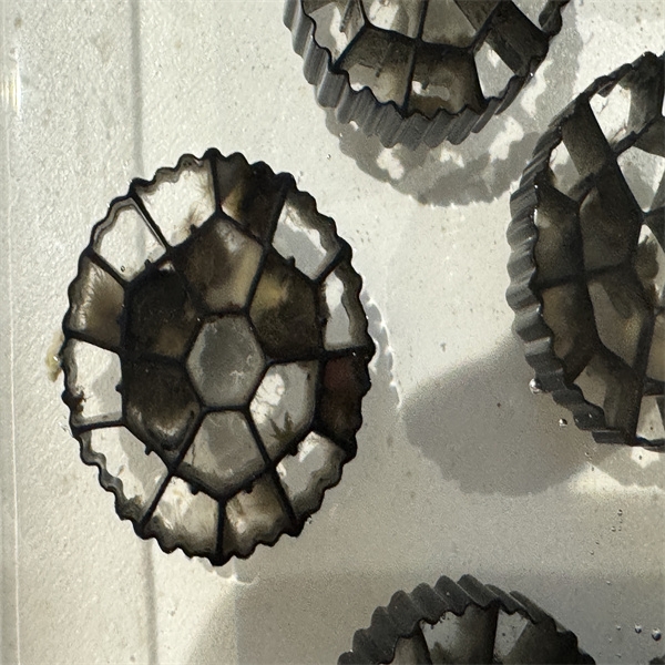 Where to Source Reliable MBBR Carriers and Media at Wholesale Prices