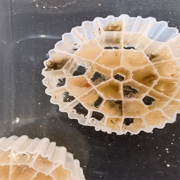 How to Optimize MBBR Systems for Maximum Performance