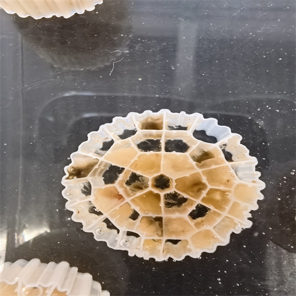 What Are the Advantages of MBBR Over Traditional Treatment Methods?