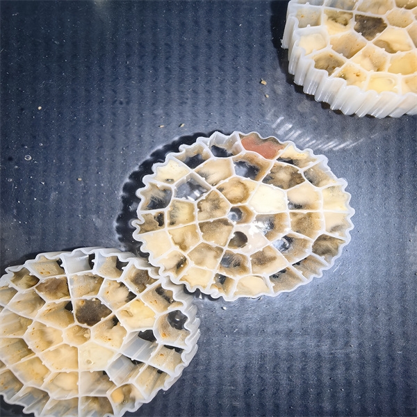 How MBBR Water Treatment Can Reduce Environmental Impac