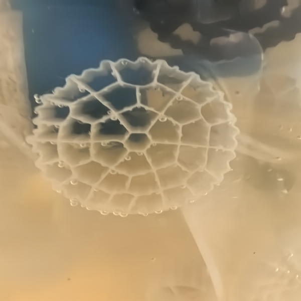 Troubleshooting Tips for Buyers