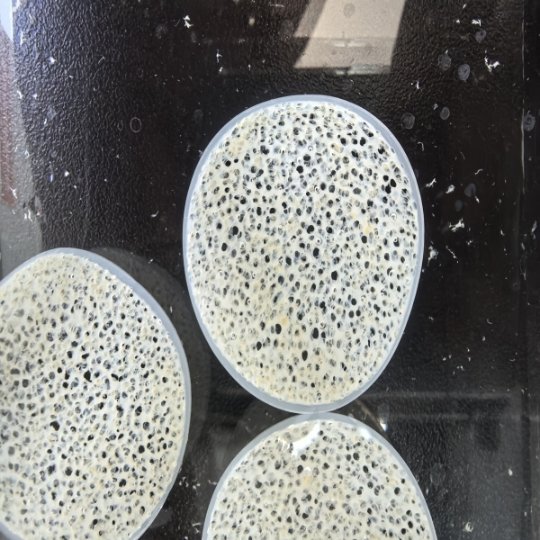 How MBBR Enhances the Performance of Biological Treatment Processes