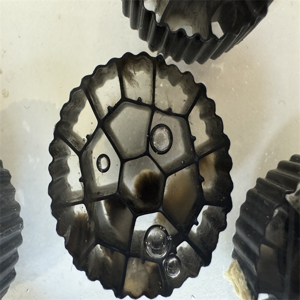 Why Moving Bed Biofilm Reactor Technology Is Ideal for Municipal and Industrial Wastewater