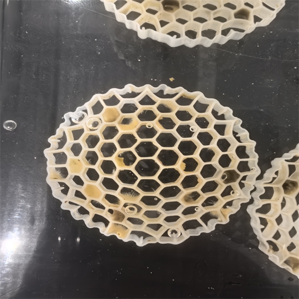 How to Choose the Right Moving Bed Bioreactor for Your Specific Needs