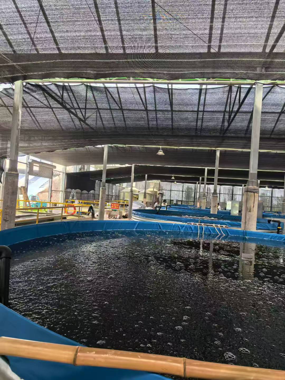 ffdae7a0af9acc70708ec6aa3be070fa