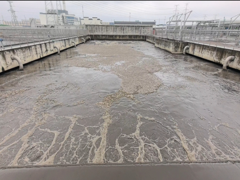 mbbr media operation maintenance guide 3 core tips to reduce loss boost biofilm growth efficiency