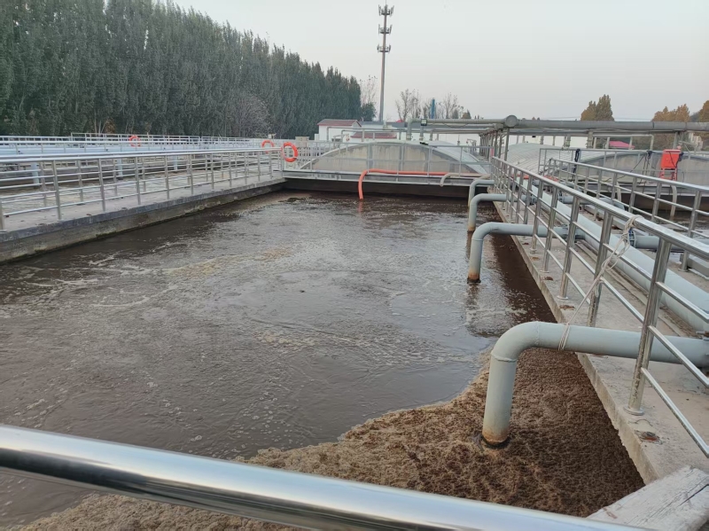 Optimization Scheme of MBBR Process for High Ammonia Nitrogen Industrial Wastewater Treatment