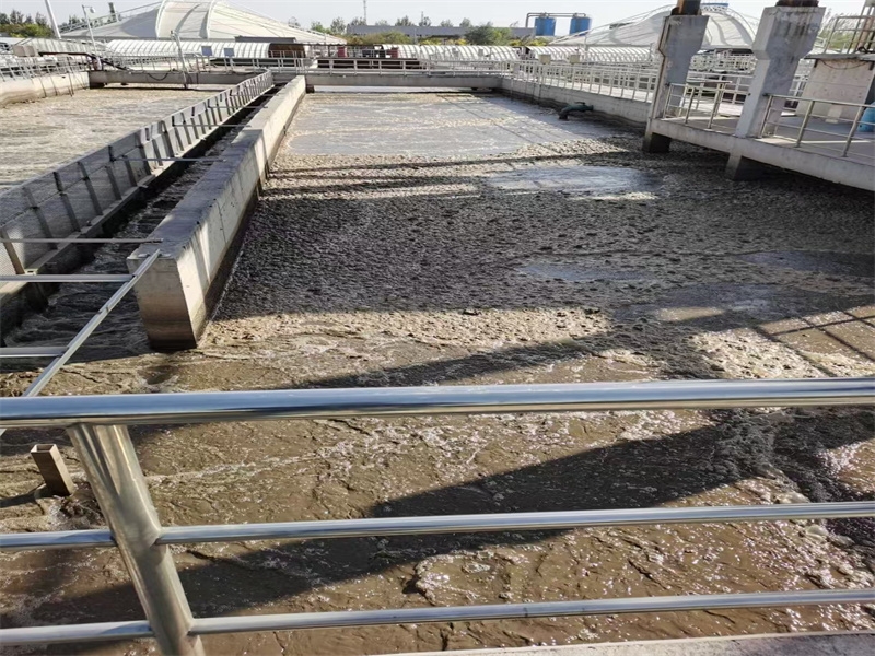 Performance Comparative Analysis of MBBR Media Materials: HDPE vs. PP