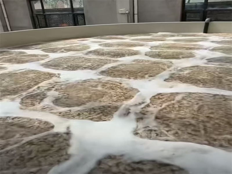 Energy-Efficient MBBR Systems: How to Reduce Wastewater Treatment Energy Consumption?