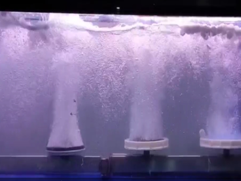 Synergy Between MBBR Media & Biofilm Process: The Golden Combination for Wastewater Treatment