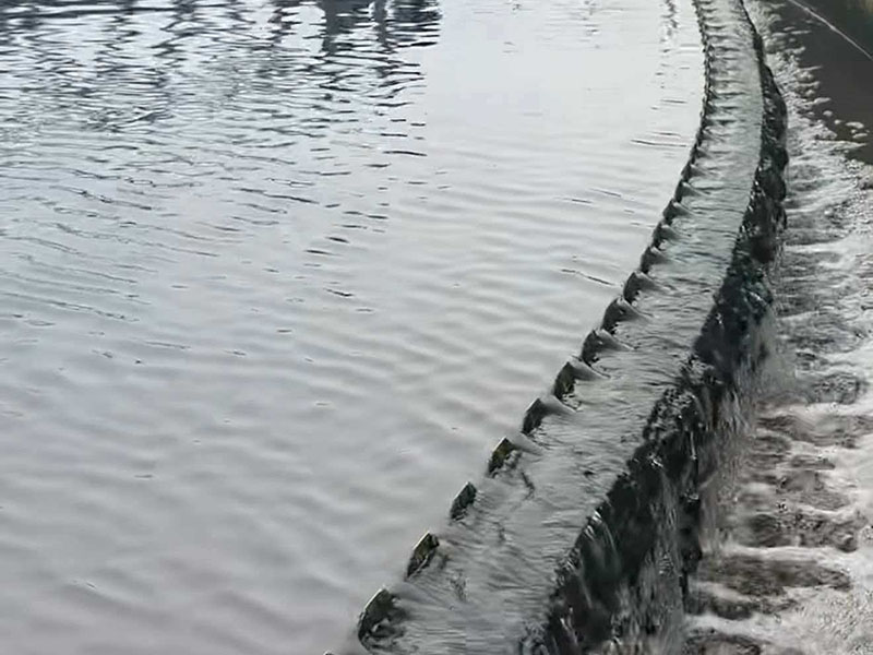 Seafood Processing Plant in Dong Nai Province, Vietnam