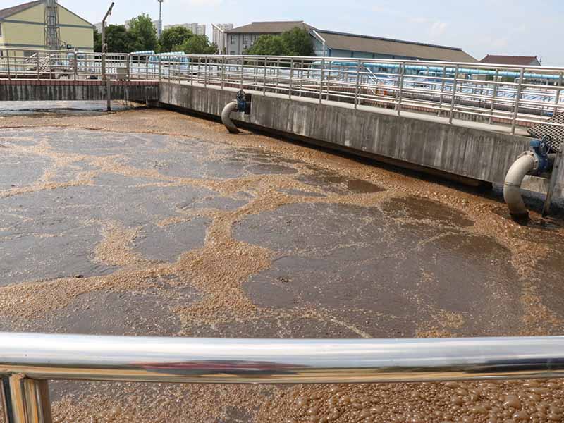 Global Water Treatment Update: Nordic Bans, EU Investments and Tech Innovations Drive Industry Shift