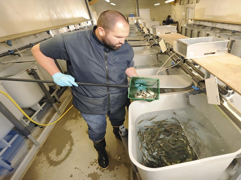 European Recirculating Aquaculture Systems (RAS): Innovations, Investments, and the Path to Sustainable Seafood Production