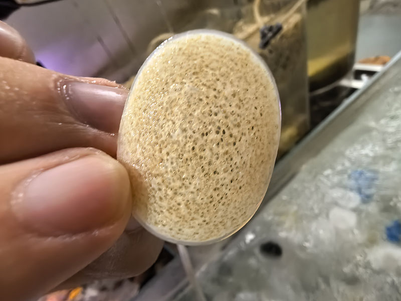 MBBR Biochips Revolutionize RAS Stability with "Protected Biofilm" Design