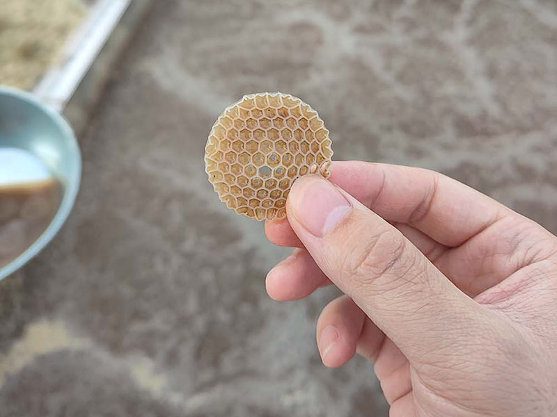 MBBR Technology Demonstrates Breakthrough Performance in Treating High-Strength Industrial Wastewater