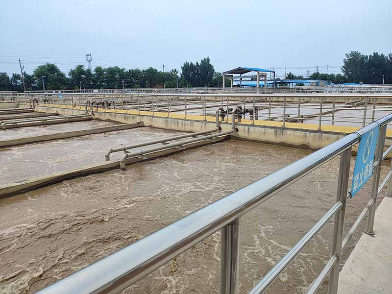 Advanced MBBR Hybrid Systems Dramatically Enhance Nitrate Removal in RAS Applications