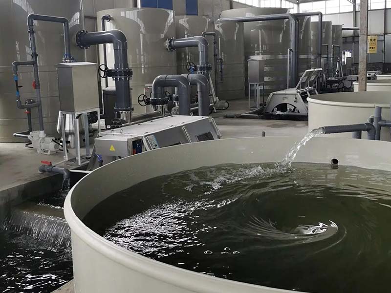 MBBR Technology Overcomes Critical Challenges in Aquaculture: Antibiotics, Disinfectants, and Salinity Fluctuations