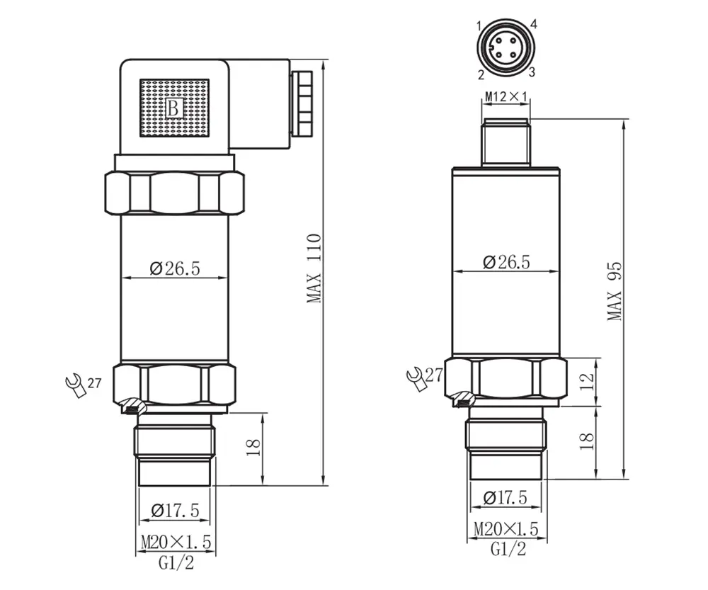 pic-1