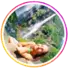 feedback2-profile photo