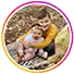 feedback1-profile photo