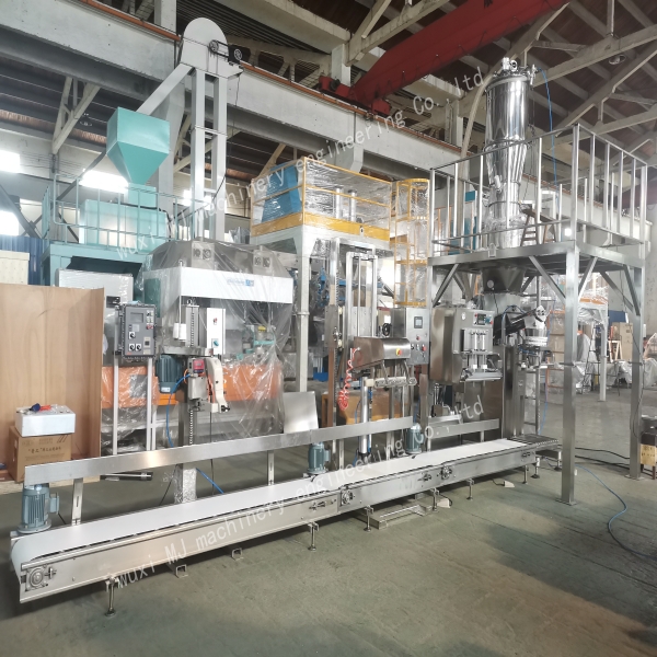 What Are the Common Issues with Auger Filling Machines and How to Resolve Them?