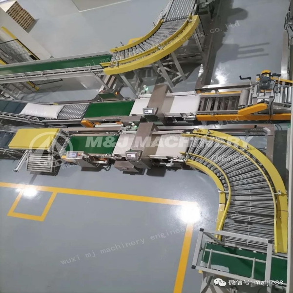 Where to Source Affordable Conveyor Systems Without Compromising on Quality