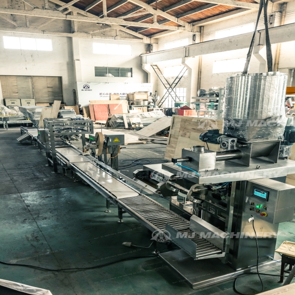 How to Troubleshoot Common Problems with Flour Bagging Machines?