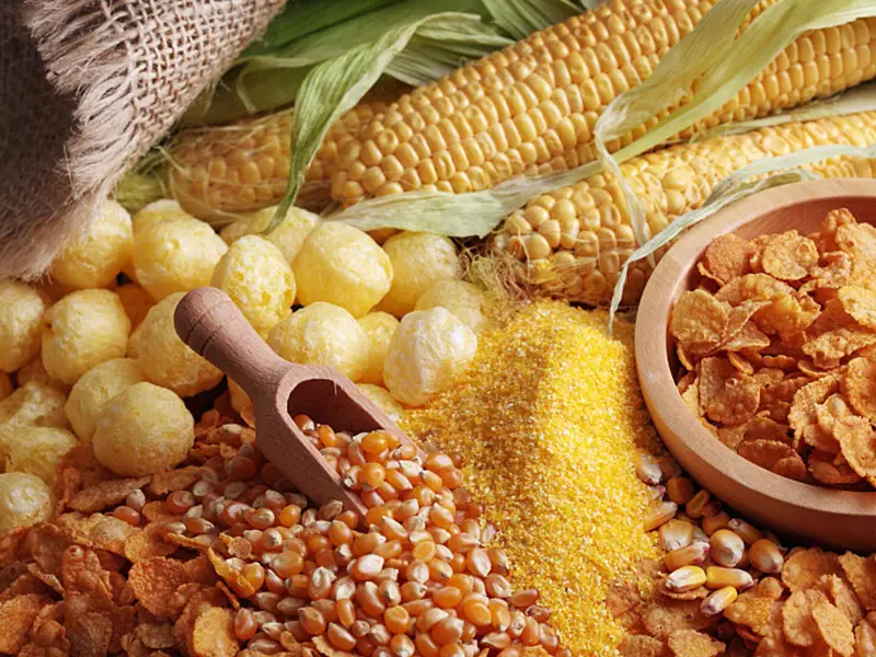 Food, Grain & Starch Industry