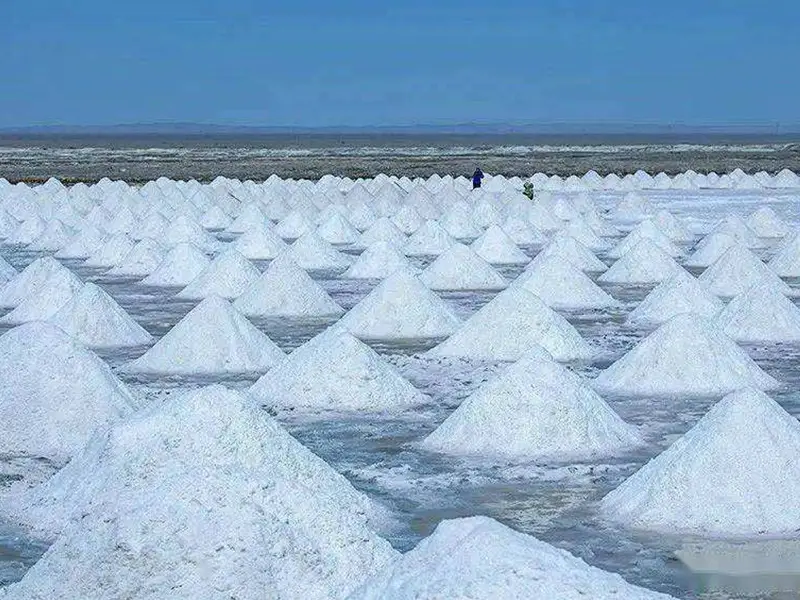 Salt, Sodium & Chemical Minerals